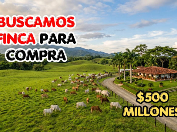 Comprador busca finca ganadera cerca de Florencia Caquetá con vivienda y fácil acceso. Presupuesto hasta 500 millones. .