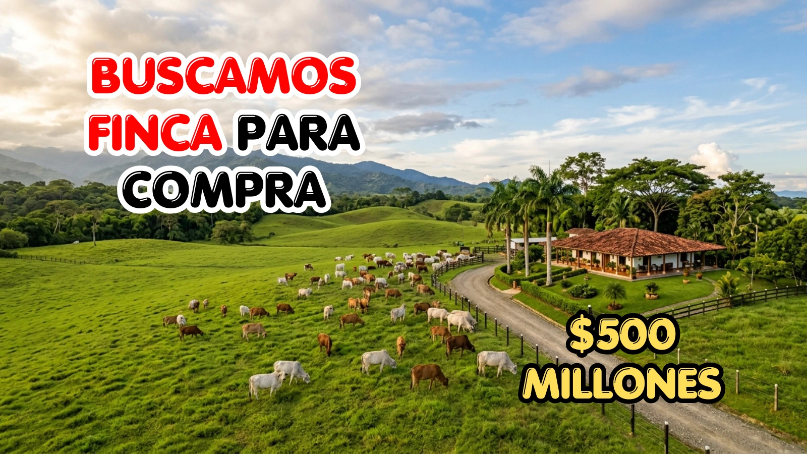 Comprador busca finca ganadera cerca de Florencia Caquetá con vivienda y fácil acceso. Presupuesto hasta 500 millones. .